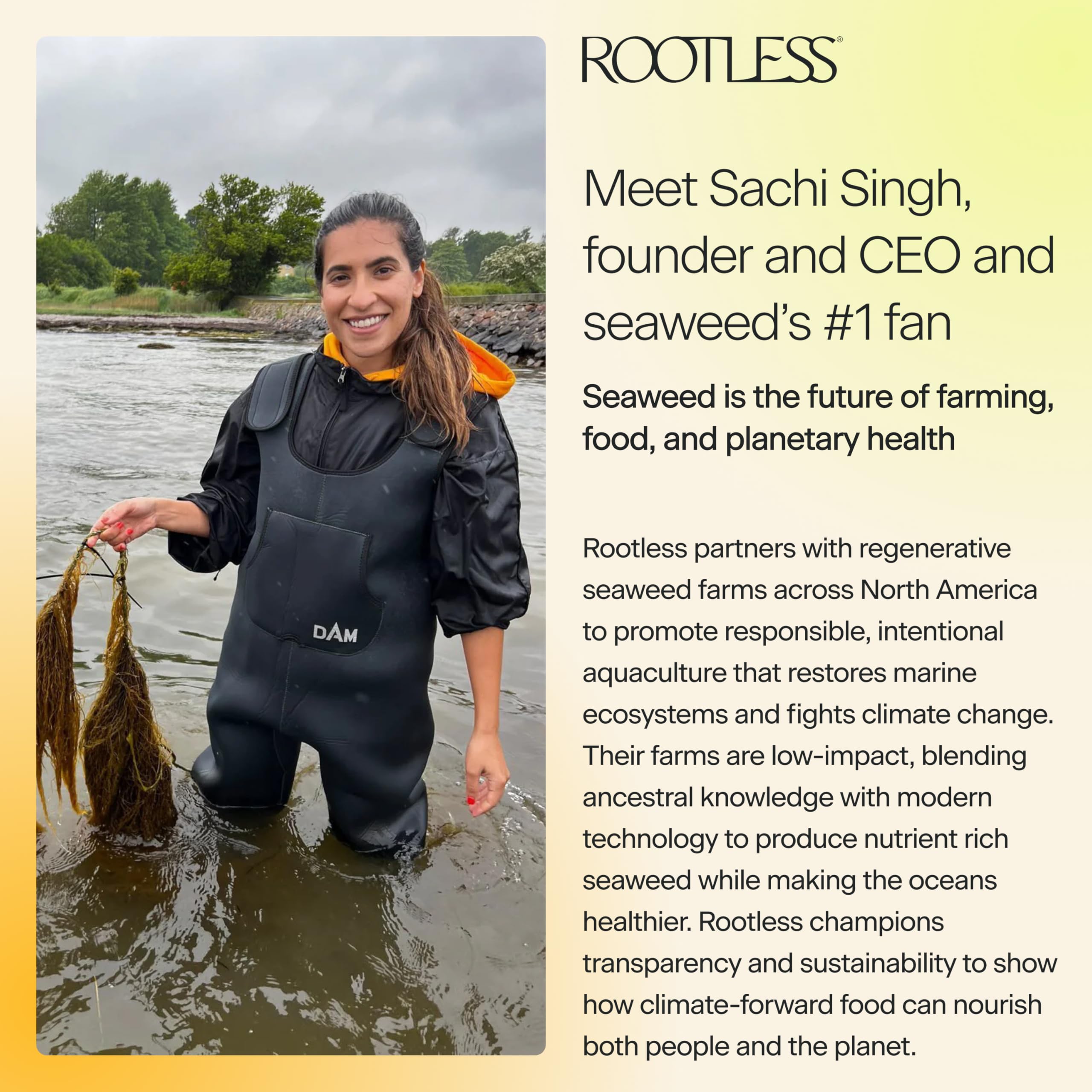 Vegan, gluten-free Rootless Seaweed Daily Bites with no added sugar shown.