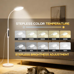 Rosegurt lamp offers touch and remote control for easy operation.