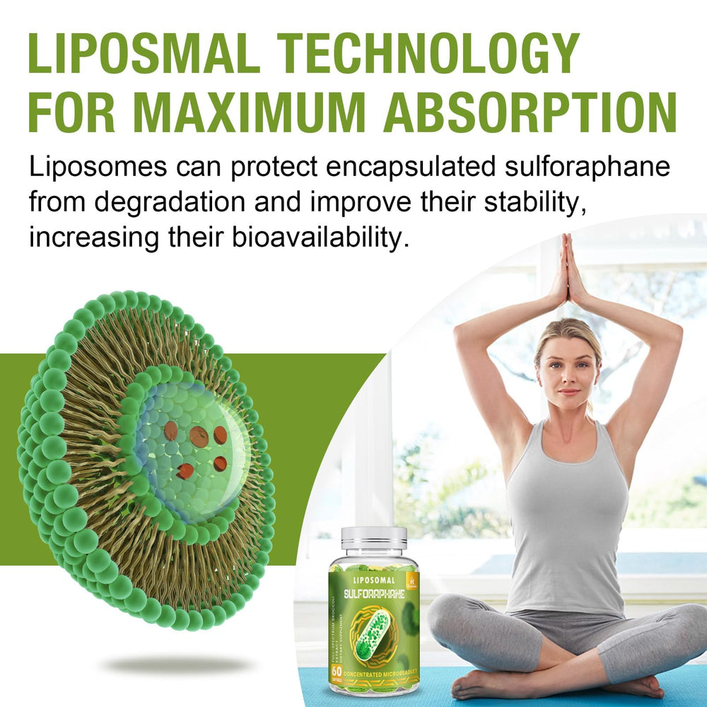 Rosmolo black pepper and quercetin components boosting absorption