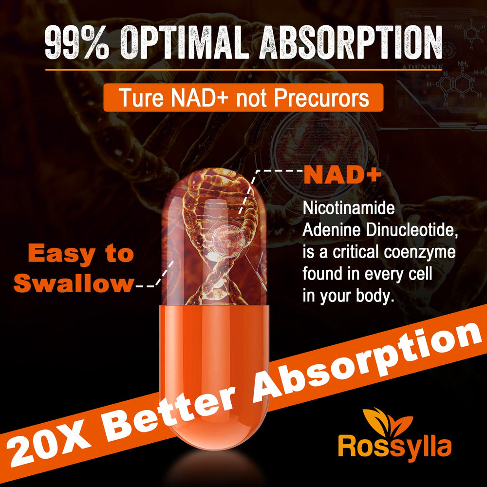 Graph illustrates NAD+ absorption with liposomal delivery.