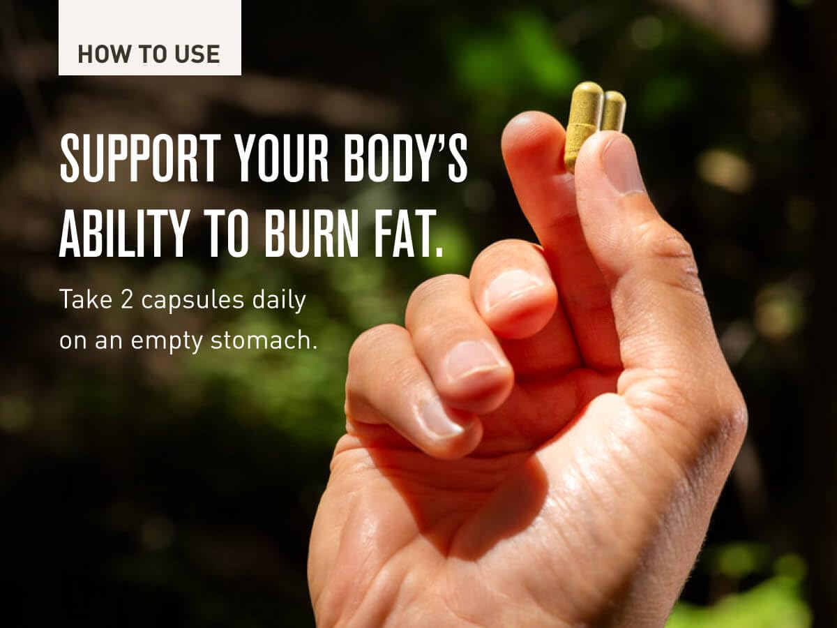 ROUNDHOUSE PROVISION Three Hit Combo wellness routine vibe for daily health.
