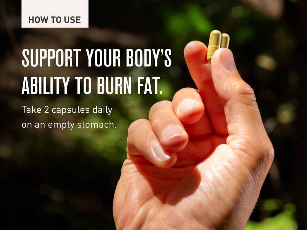 ROUNDHOUSE PROVISION Three Hit Combo wellness routine vibe for daily health.