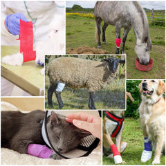 RUBY.Q soft nonwoven bandage wrap feels gentle on skin and stays in place