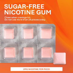 Rugby Polacrilex gum cinnamon 100-count box supports daily quit steps