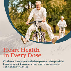 Arjuna component in Carditone supports healthy circulation
