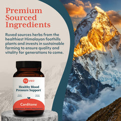 Calcium and magnesium blend in Carditone for cardiovascular support