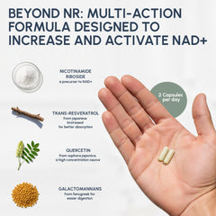 RYOS Refuse to Age NAD packaging box indicating USA-made quality
