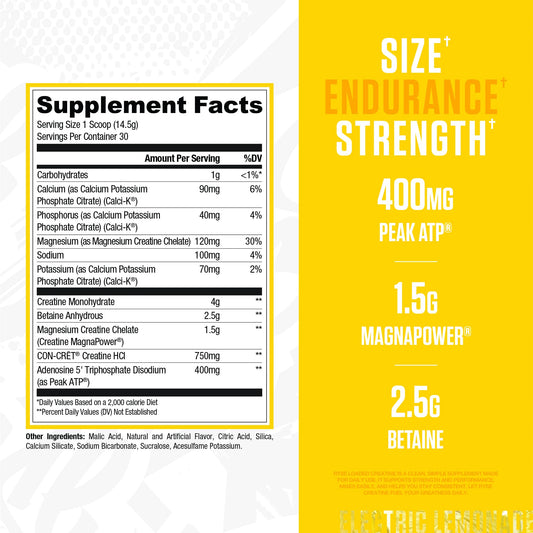 RYSE Loaded Creatine Electric Lemonade scoop dispensing powder for accurate pre-workout dosing