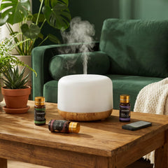 SACATR bergamot oil for bright citrus notes and uplifting rituals