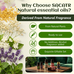 SACATR peppermint oil bottle for refreshing scents and focus-friendly routines