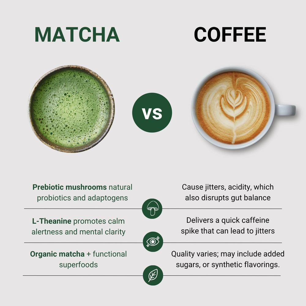 Sacred Lotus Dawn Patrol whisk in latte for a smooth texture.