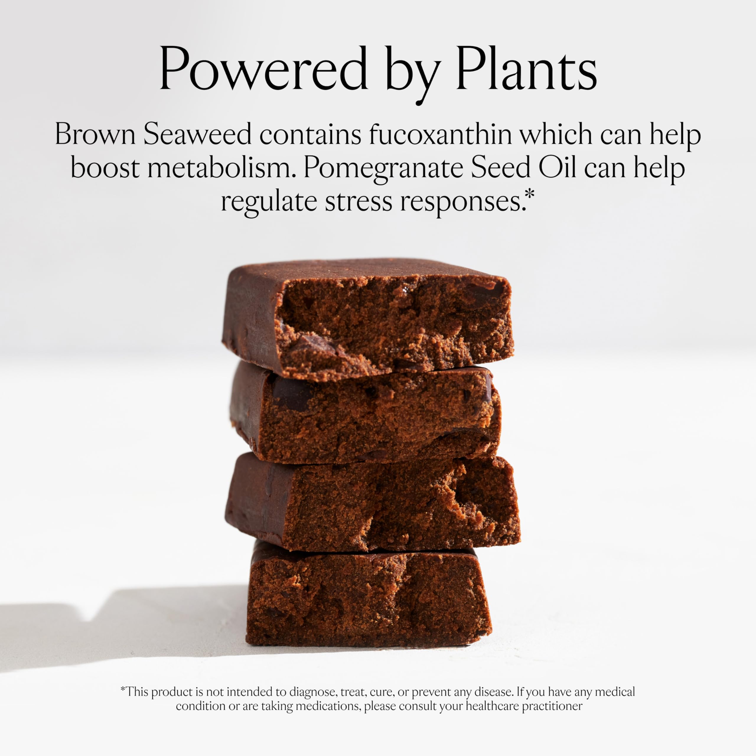 SAKARA Metabolism Bar close-up shows fucoxanthin and plant protein ingredients.