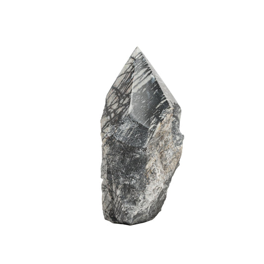 SAMSARI Net Jasper point with earthy patterns ideal for meditation grounding.