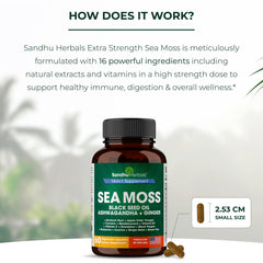 SANDHUHERBALS Irish Sea Moss powder emphasizes wildcrafted wellness.