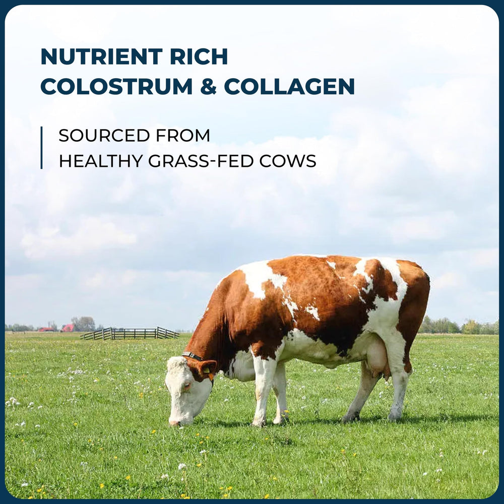Sandhu's colostrum collagen powder scoop enables easy measuring and mixing