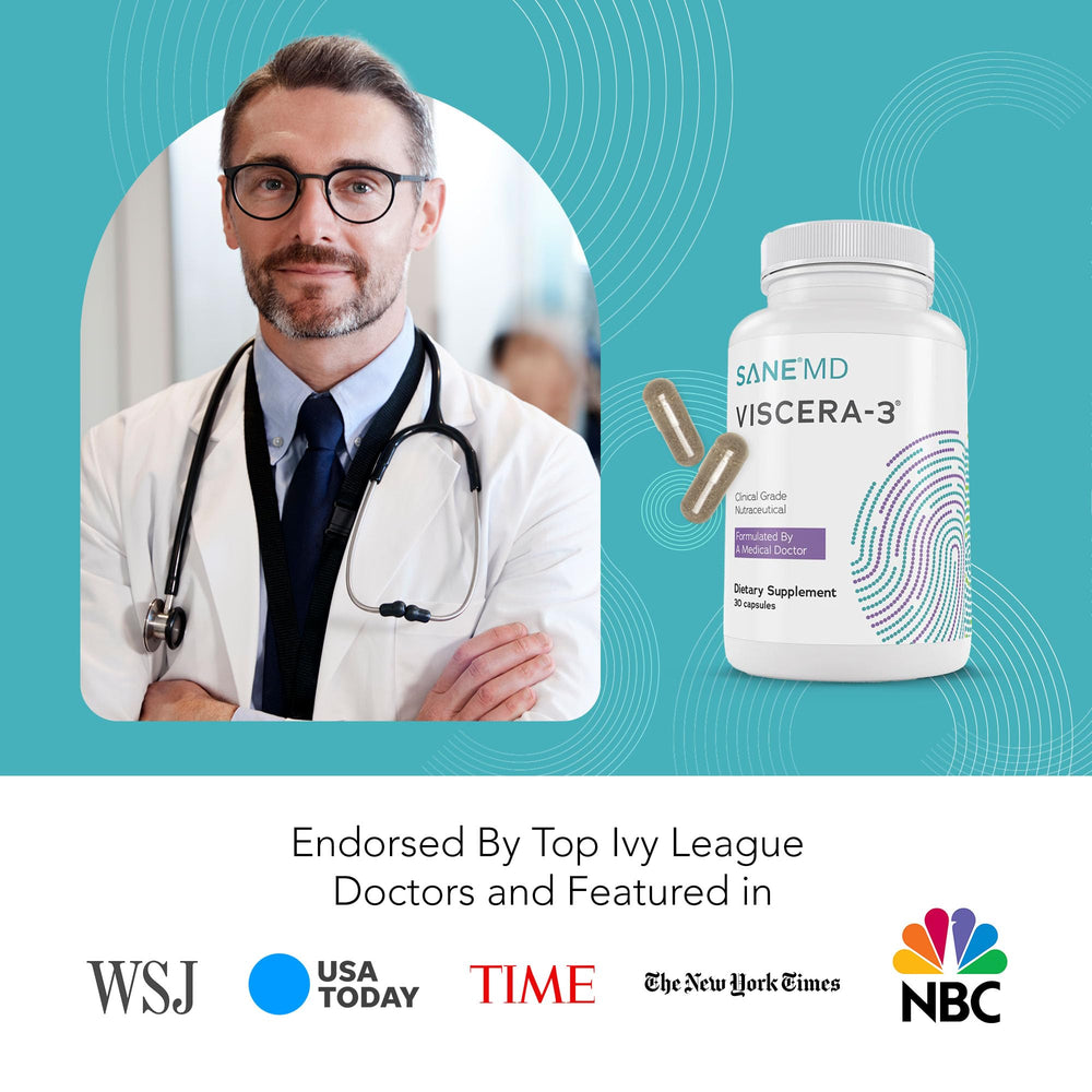SANE Viscera-3 digestive comfort scene implies everyday relief potential