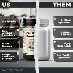 Santa Cruz Paleo pre-workout powder with electrolytes visual supports hydration during training
