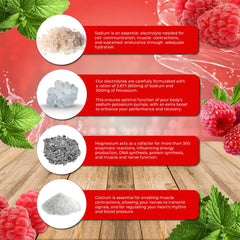 Powder dissolving in water for quick hydration with minerals from Santa Cruz Paleo.