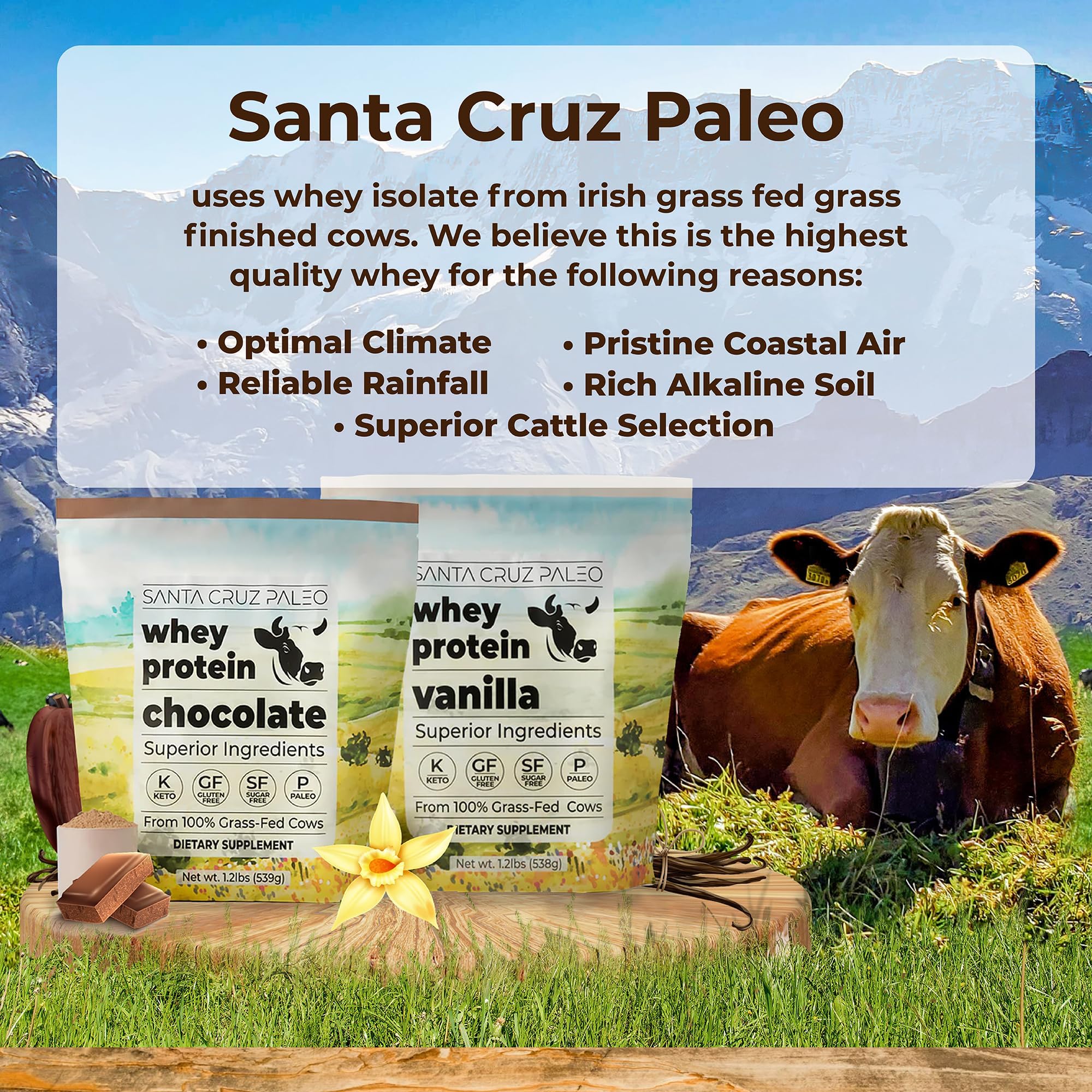 Scoop of Santa Cruz Paleo Whey Chocolate showing 20g protein per serving