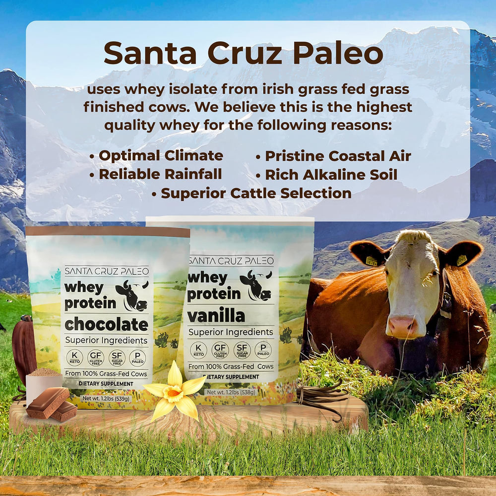 Scoop of Santa Cruz Paleo Whey Chocolate showing 20g protein per serving