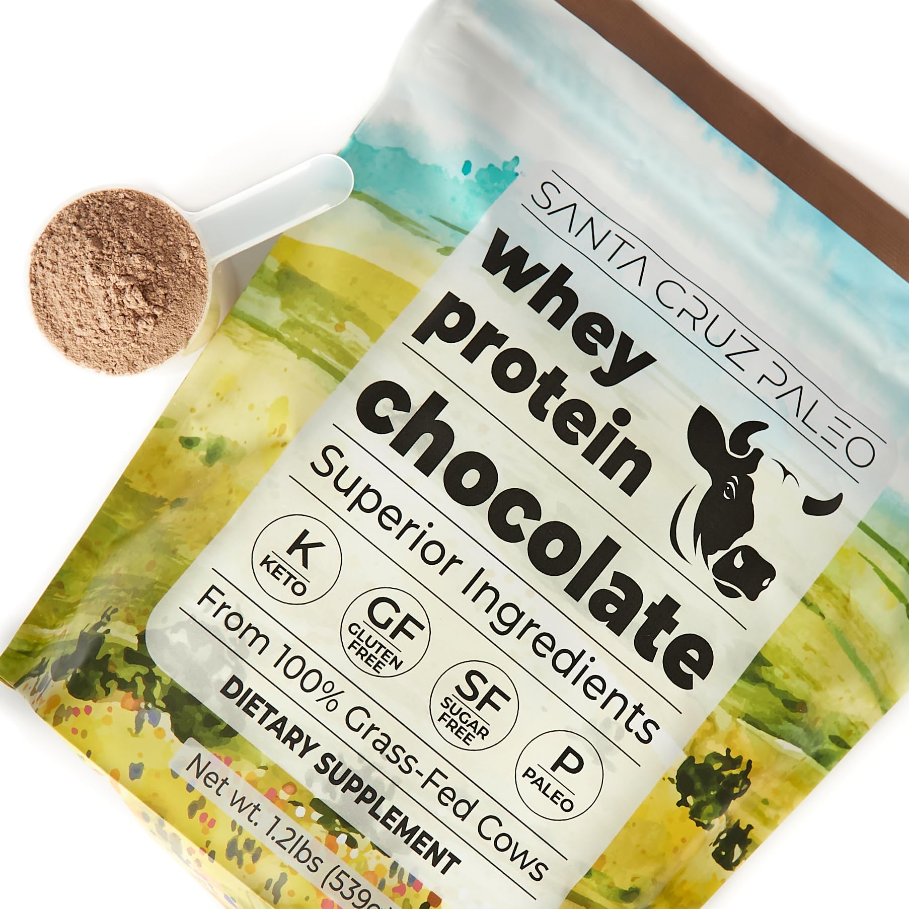 Serving of Santa Cruz Paleo Whey Chocolate ready for post-workout