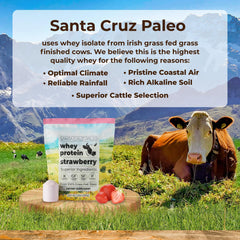 Close-up of Santa Cruz Paleo whey strawberry powder for mixing
