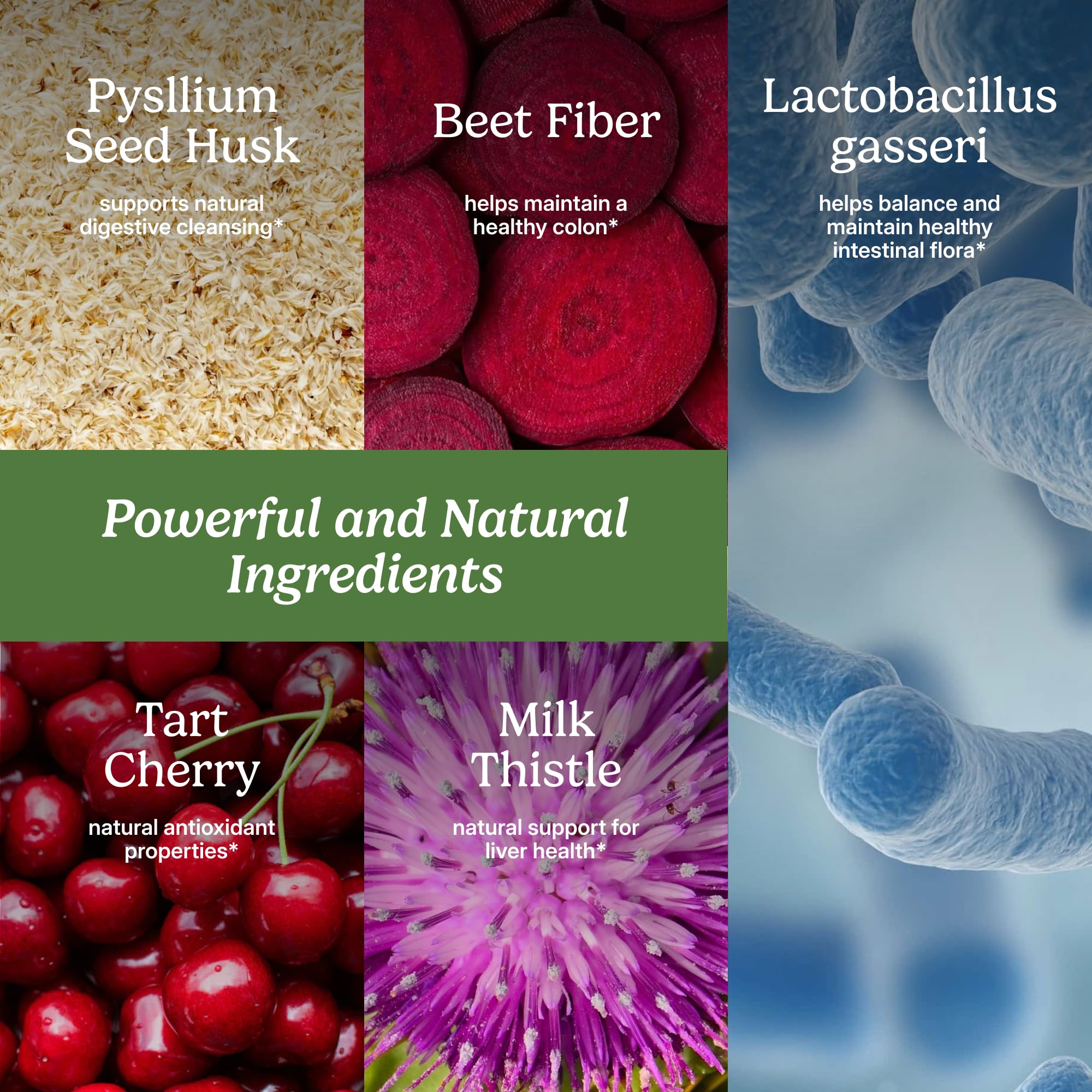 Beet fiber closeup from Santo Remedio Colon Plus for natural fiber content