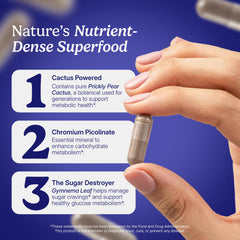 Santo Remedio vanadyl sulfate pills illustrate a key ingredient in the plant-based blend.