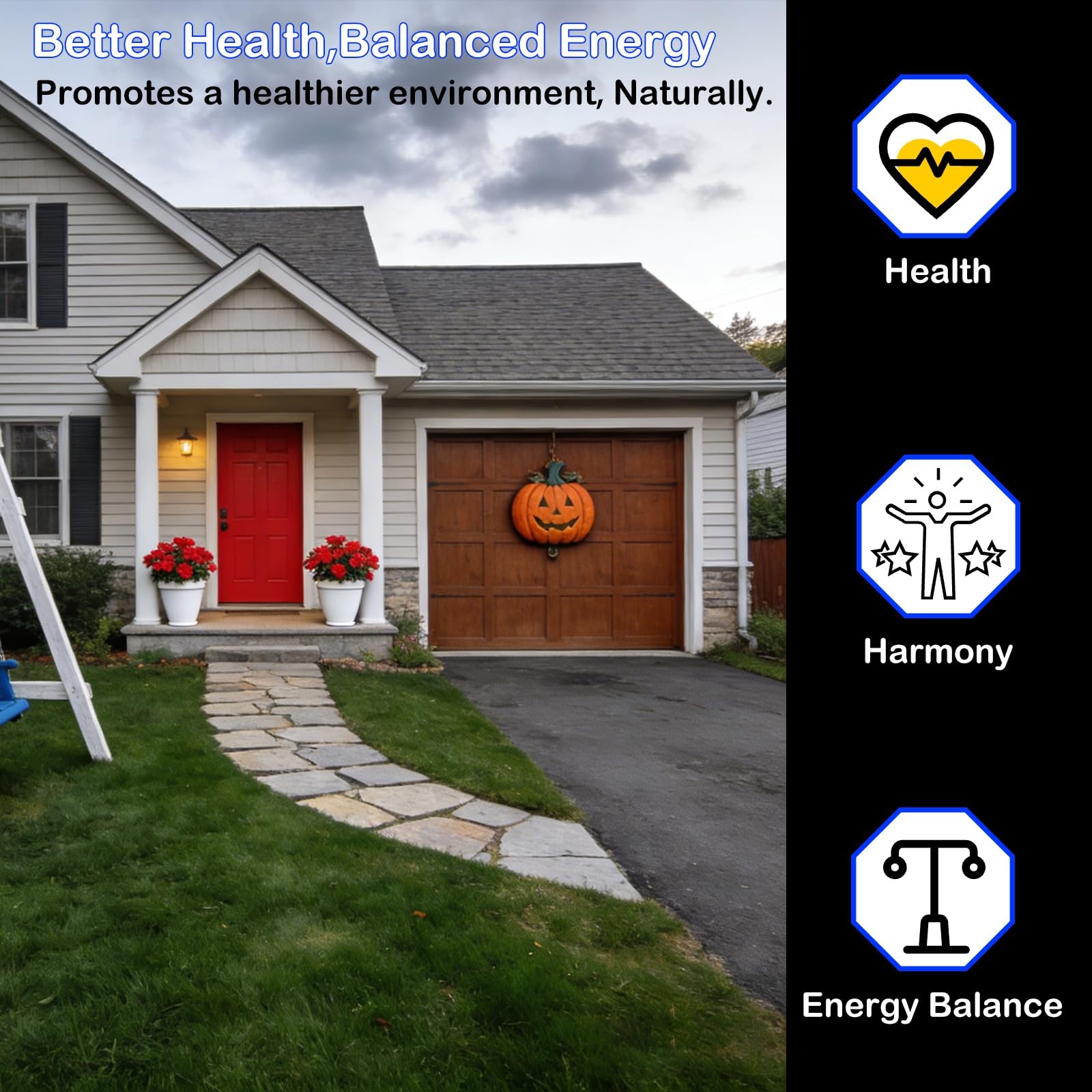 Sapbontchi EMF harmony enhances energy in your space without blocking signals.