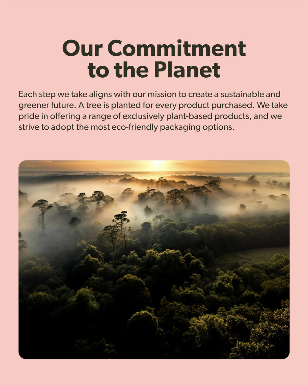 Sapling Calcium eco-label reinforcing sustainability and one-tree-per-bottle initiative