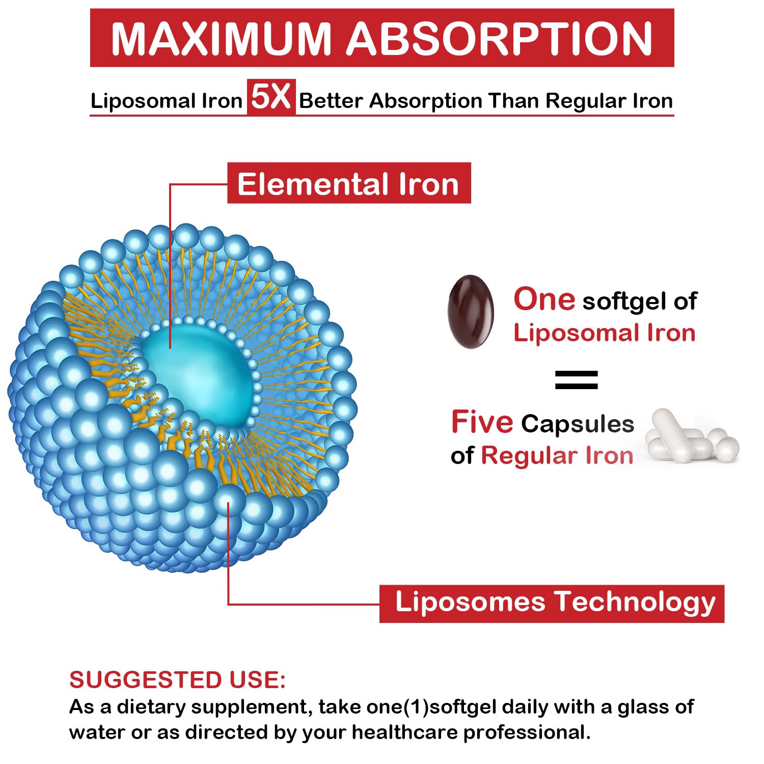 Sapotax Liposomal Fe bottle with nutrition label supports routine use.