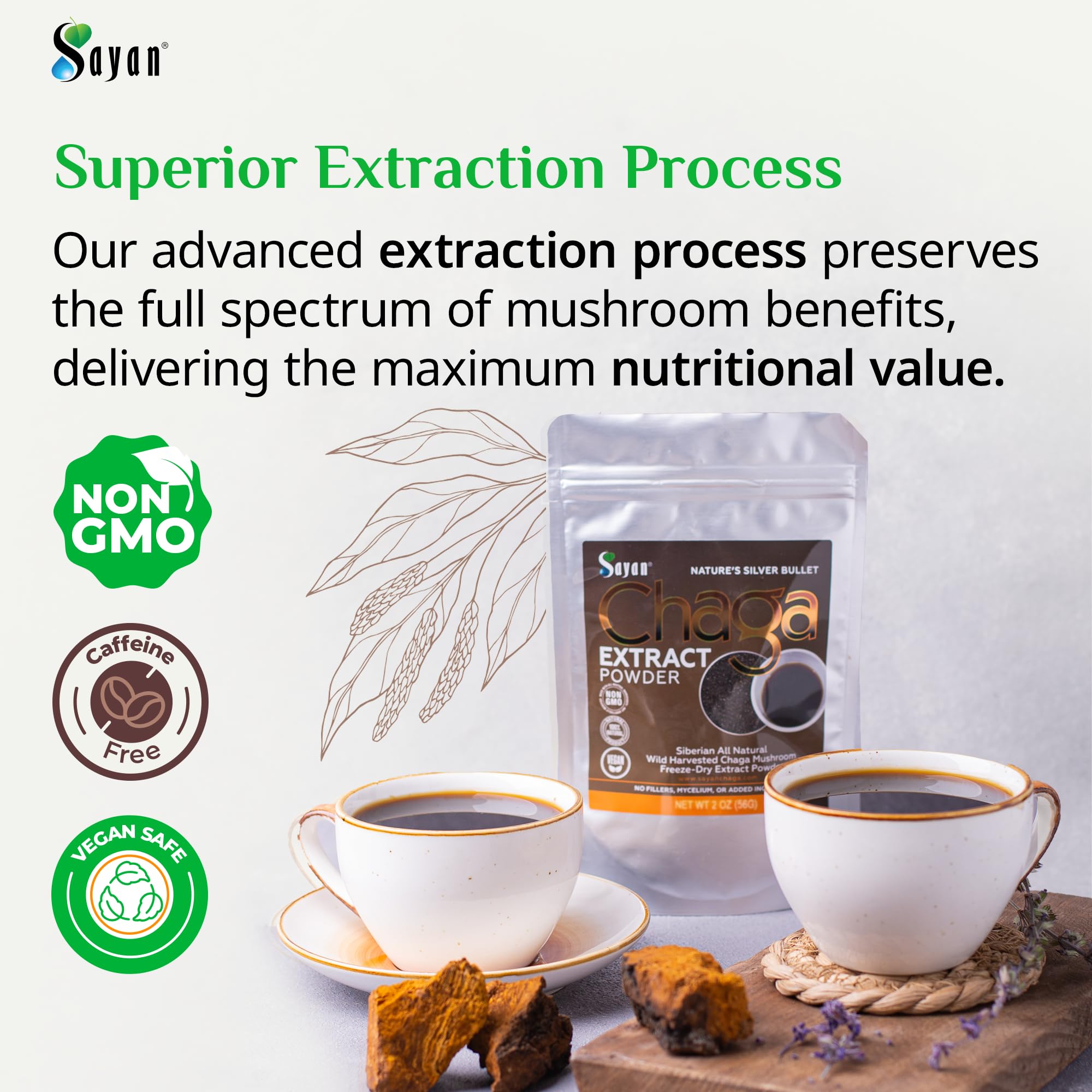Ingredients note: non-GMO vegan caffeine-free chaga powder.