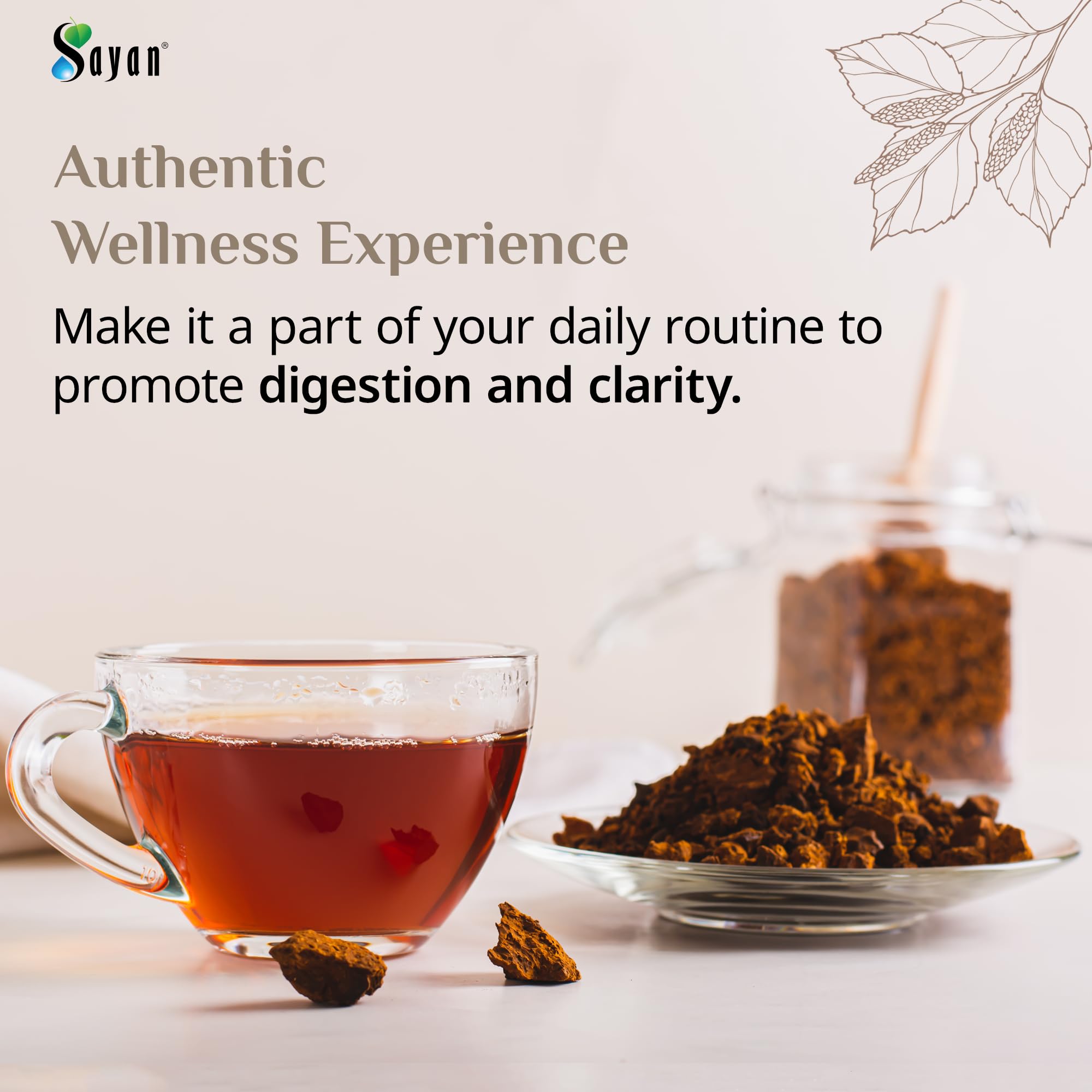 Sayan chaga tea brewing scene with amber infusion and inviting aroma