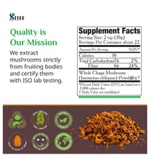 Sayan prepared chaga tea served hot offering a comforting ritual
