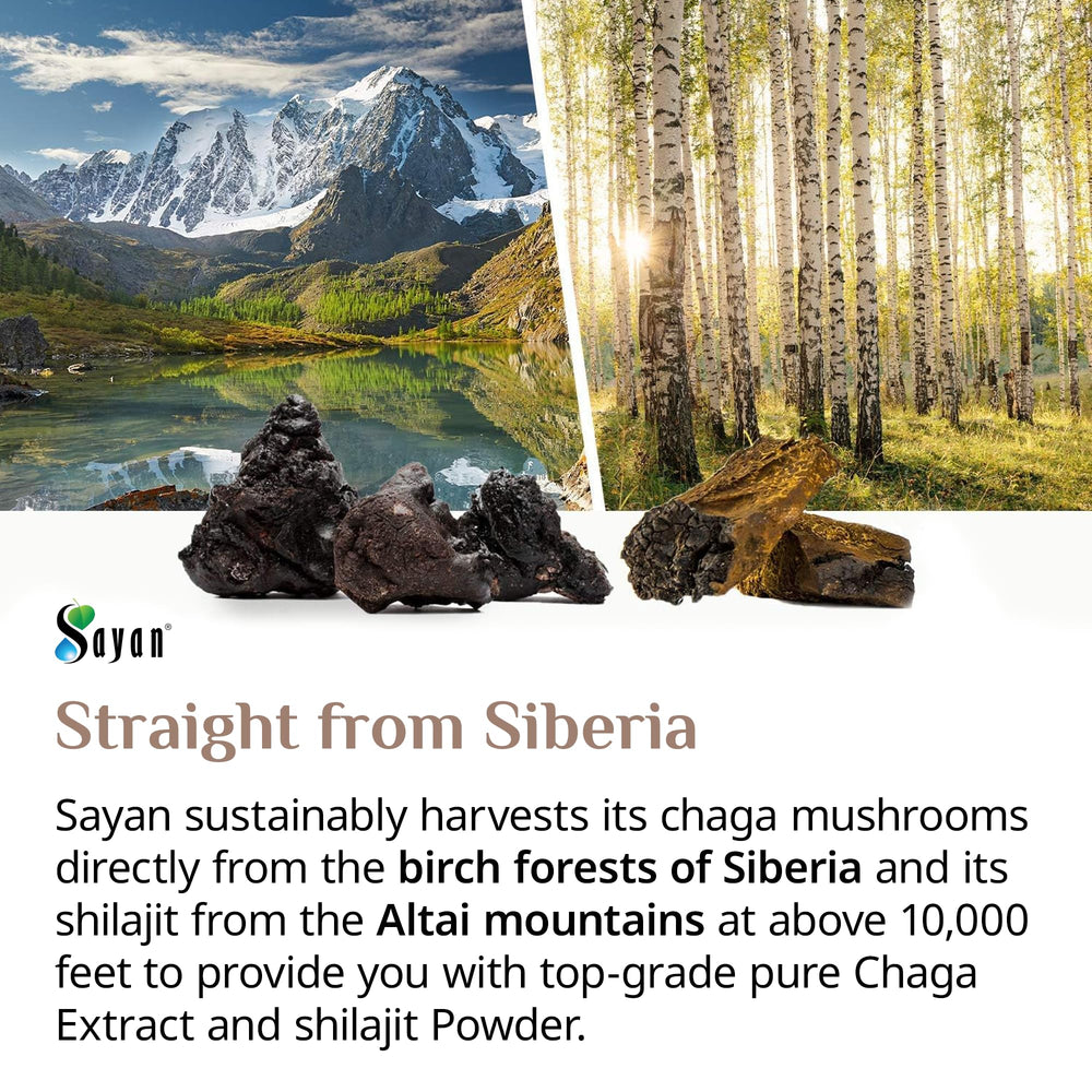 Sayan Siberian Chaga bottle against natural backdrop, signifying purity and no fillers.