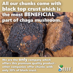 Sayan Chaga chunks packaging front showing brand and product details.