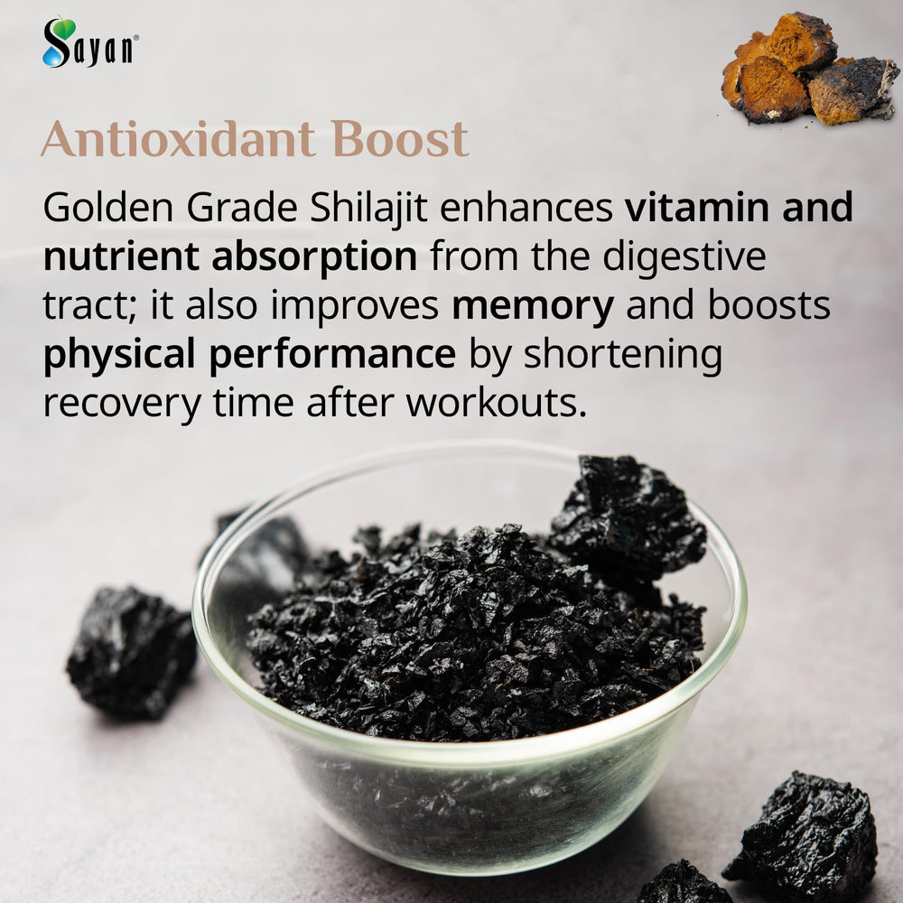 Sayan Siberian Chaga full-ingredient scene on clean surface, evoking natural wellness.