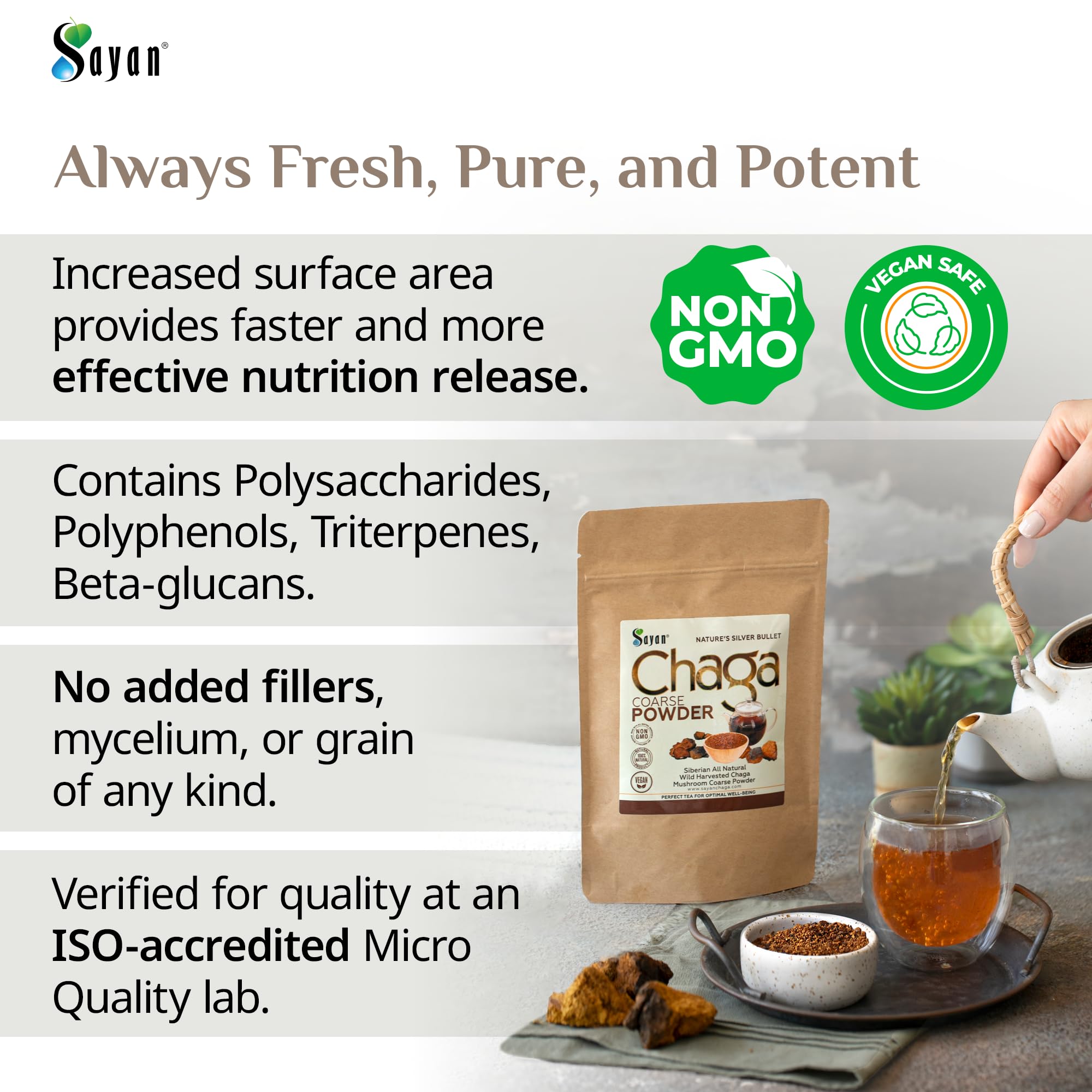Sayan wild organic harvest chaga emphasizes forest origins and clean ingredients