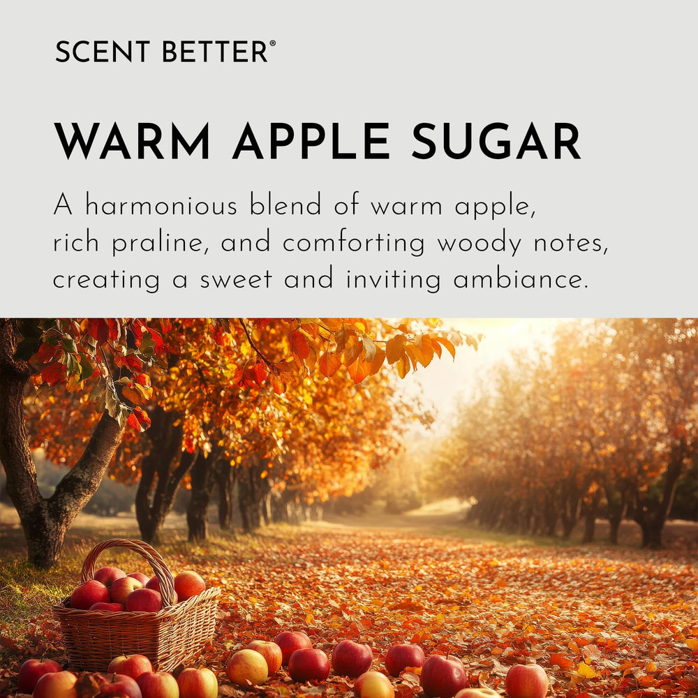 SB Scent Better apple wood notes create a cozy living space