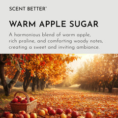 SB Scent Better apple wood notes create a cozy living space