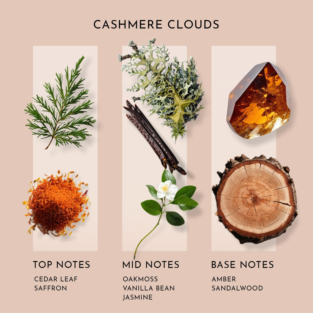 SB Scent Better Cashmere Clouds amber-vanilla note close-up enhances coziness.