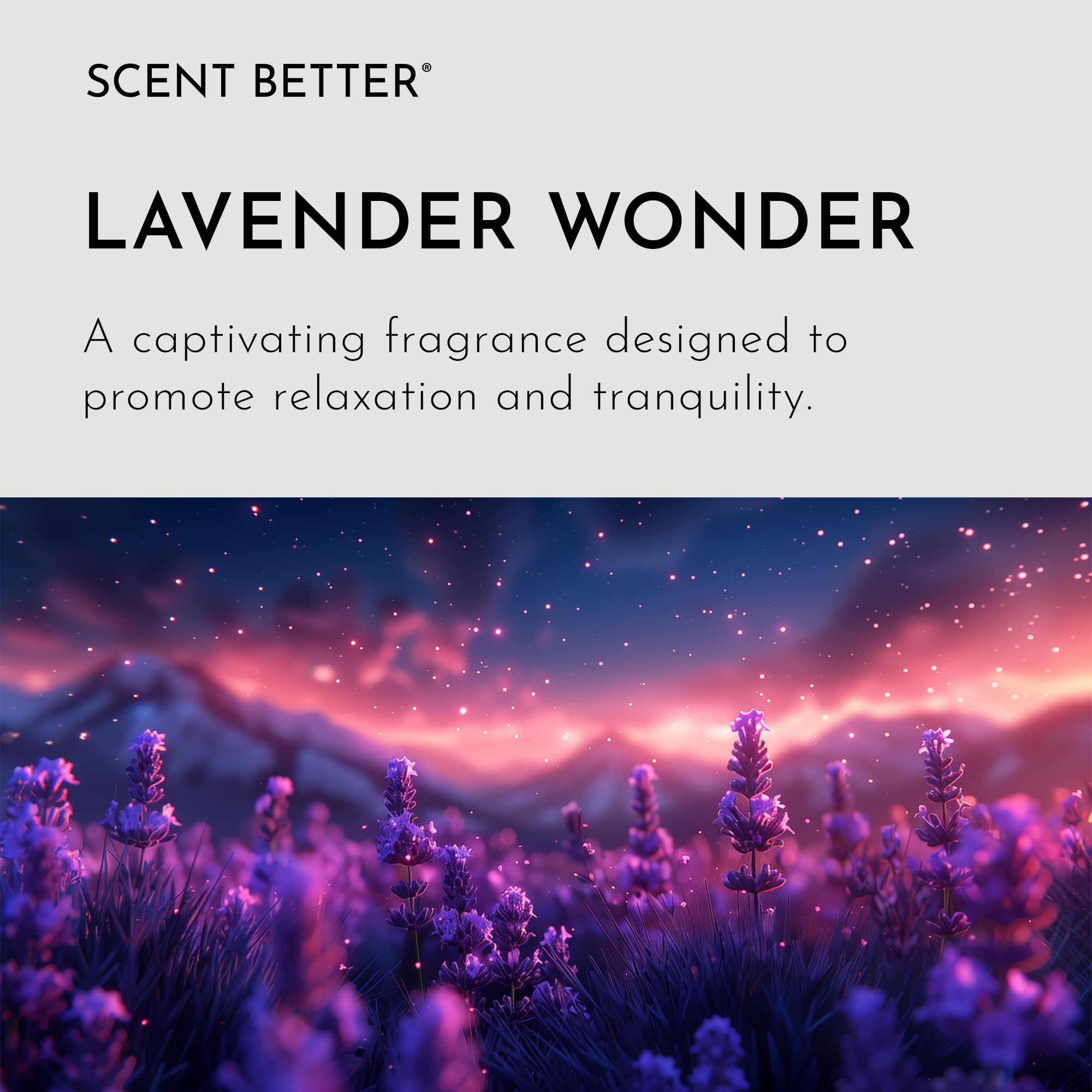 SB Scent Better Lavender Wonder diffuser enriching spaces with lavender and freesia.