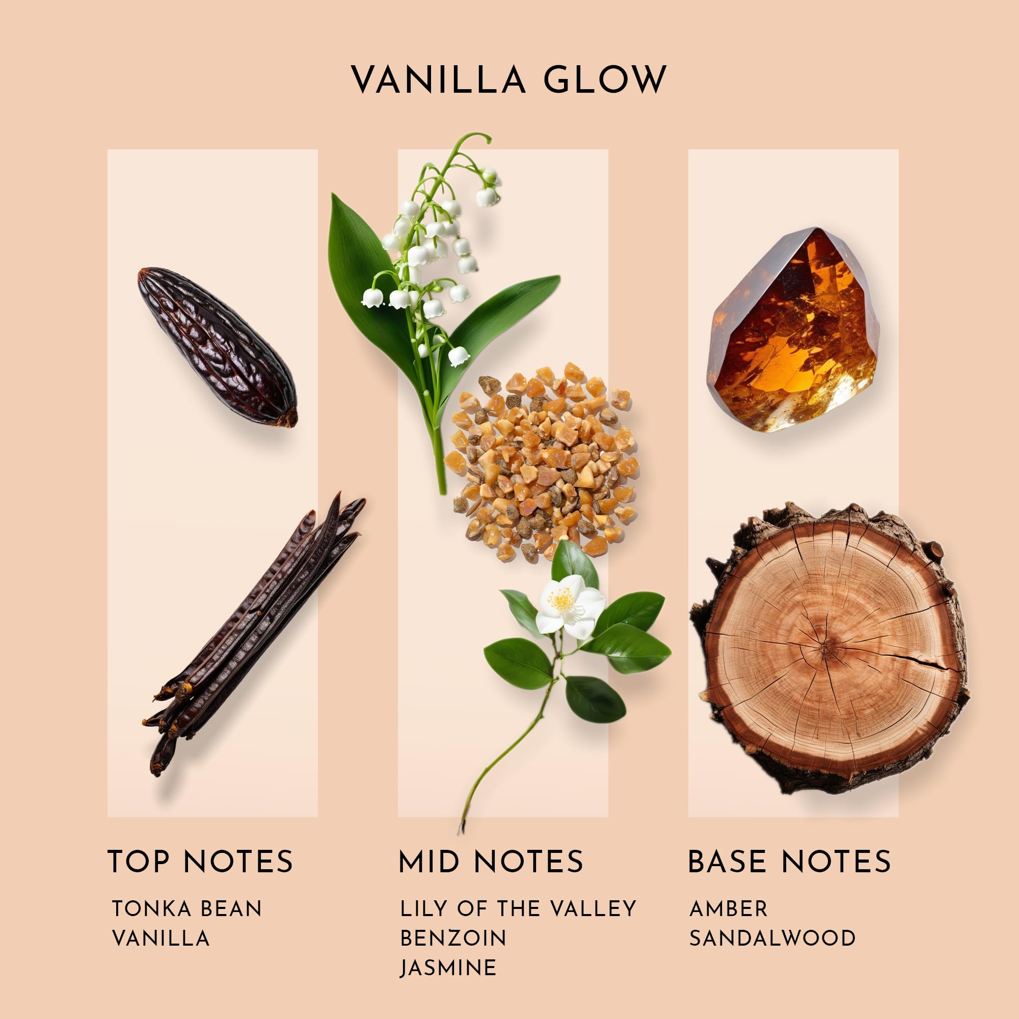 Close-up of Vanilla Glow vanilla note highlighting sweet, comforting profile