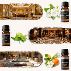 Close-up of Sbehrtno diffuser oil bottle highlighting clarity