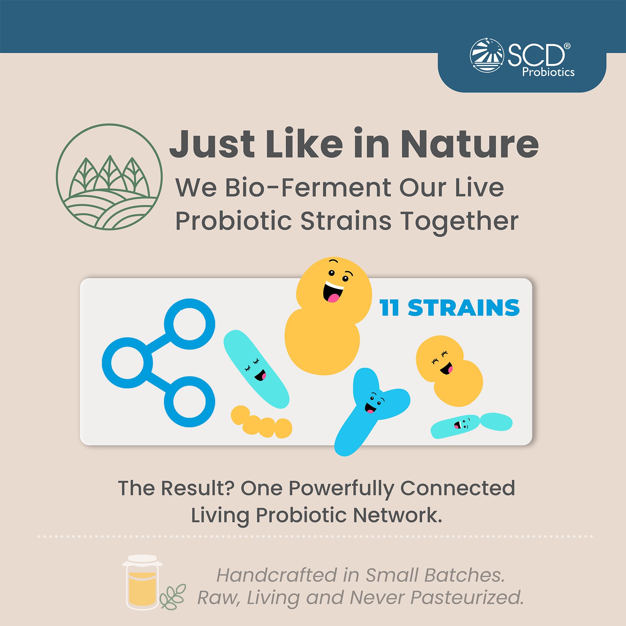 SCD Probiotics adults and seniors bottle in kitchen scene