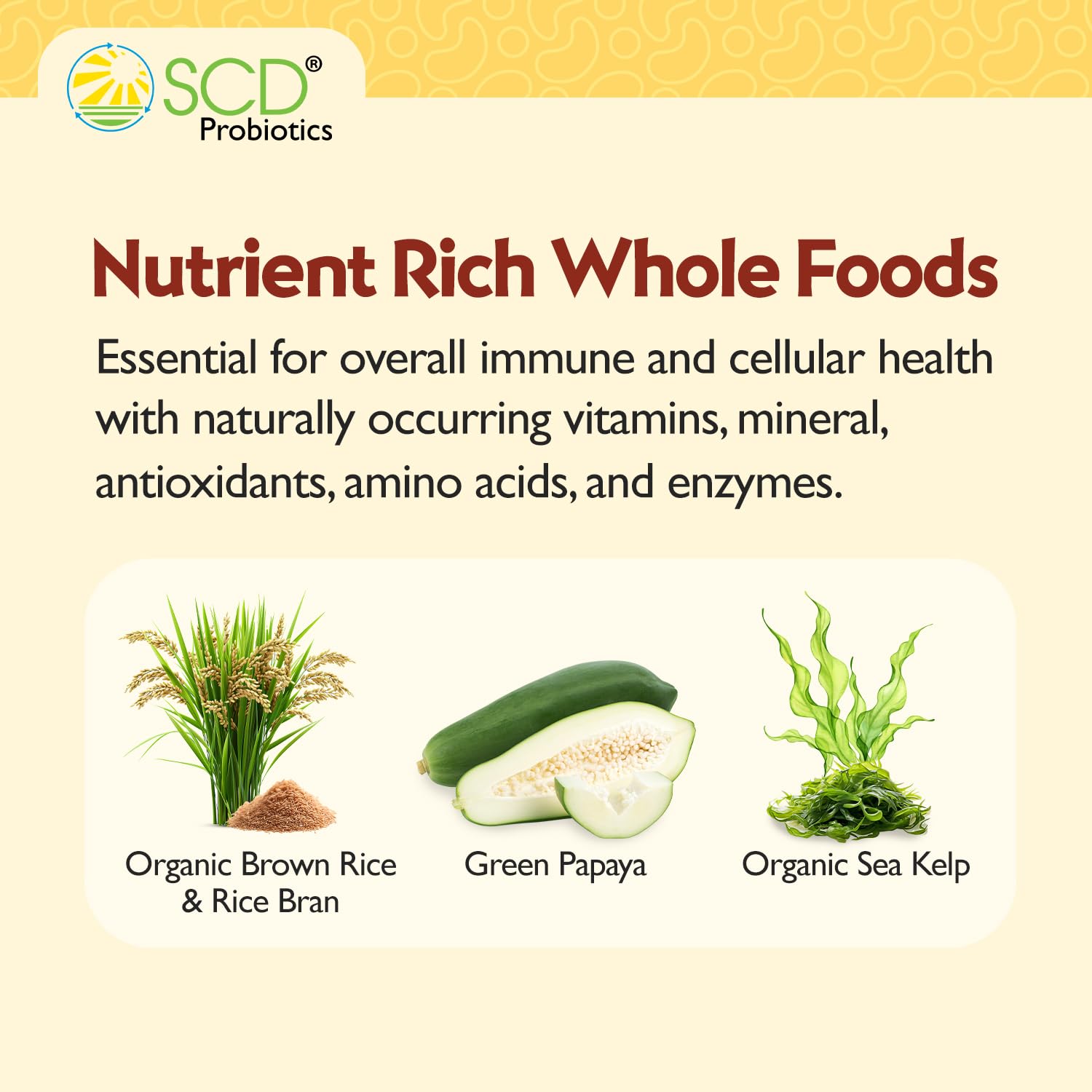 SCD Probiotics Xtra Immunity brown rice ingredients emphasizing nutrient base.