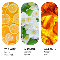 Scent Collection Ritz-Carlton bottle closeup highlights pet-friendly formula.
