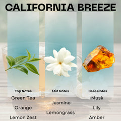 Scentia California Breeze diffuser usage—easy setup for home diffusion