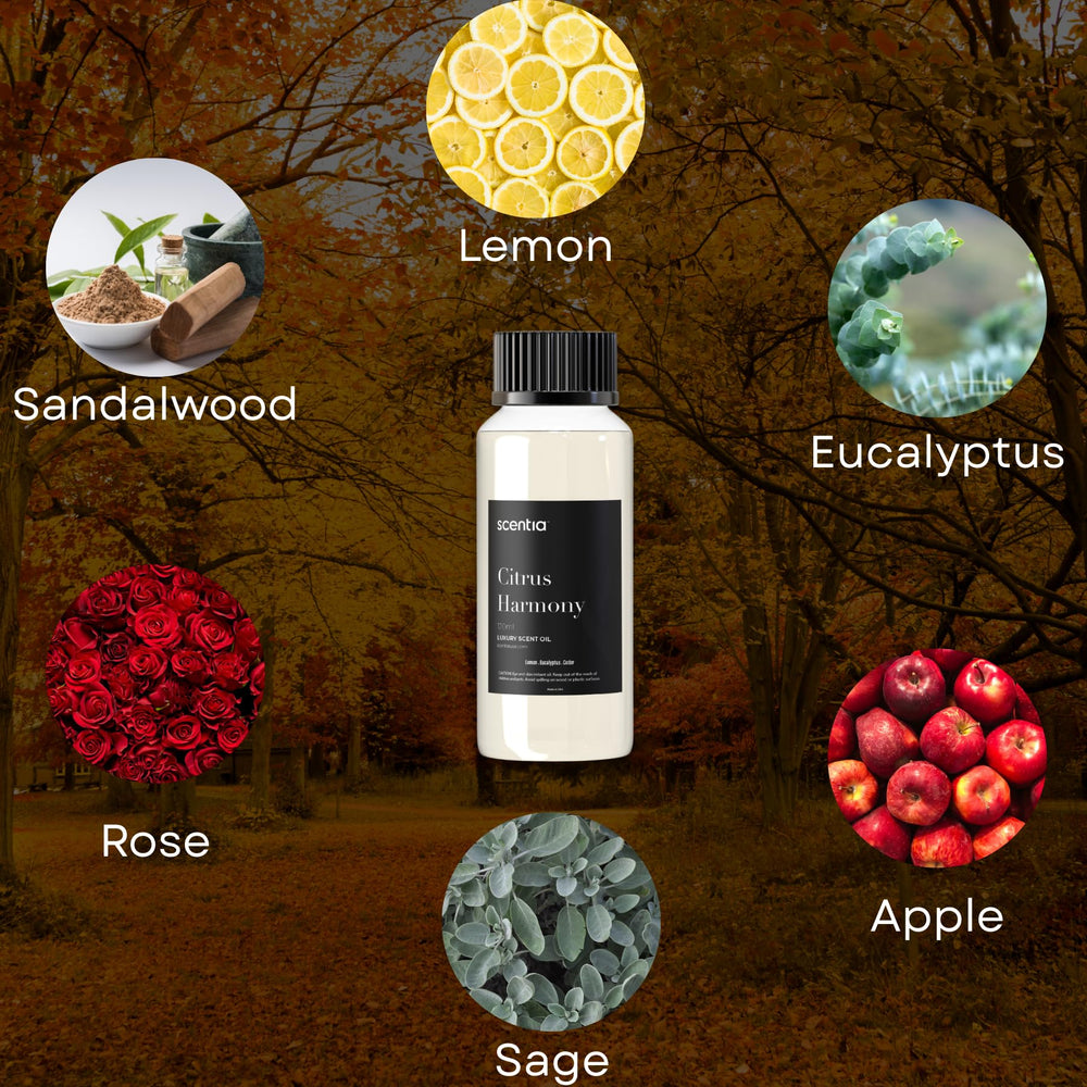 Scentia Citrus Harmony diffuser drift fills rooms with a refreshing citrus aroma