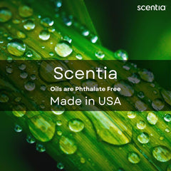 Scentia Citrus Harmony DIY cleaning blend provides a fresh-smelling surface scent